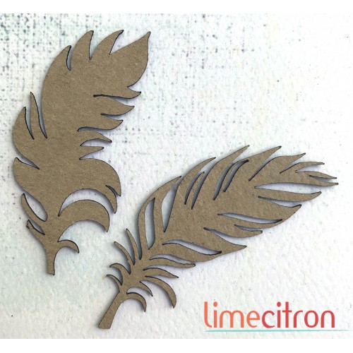  Chipboard -  2 plumes 